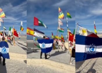 Bandeira do caprichoso