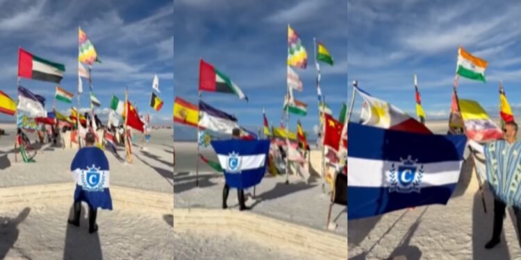 Bandeira do caprichoso