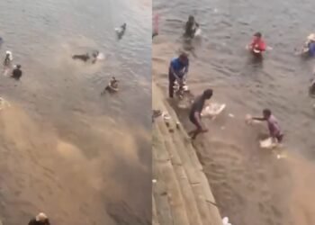 Bênção dos Jaraquis