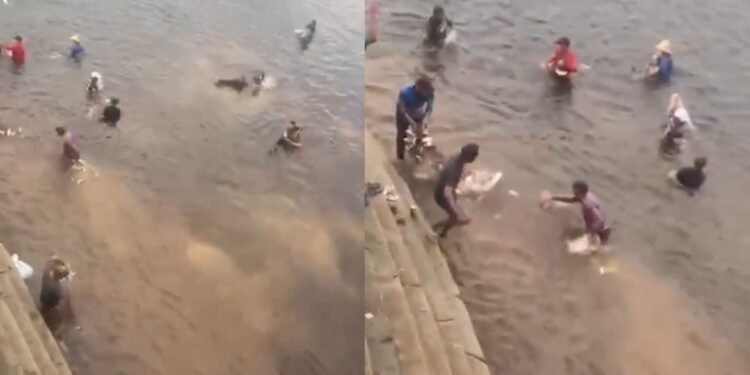 Bênção dos Jaraquis