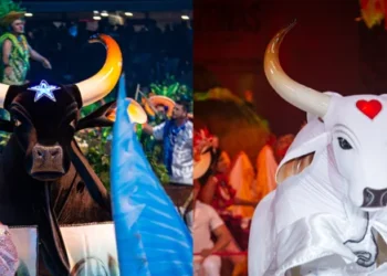 Os bois se apresentam sempre no último fim de semana de julho (Fotos: João Dejacy/Rios de Notícias)