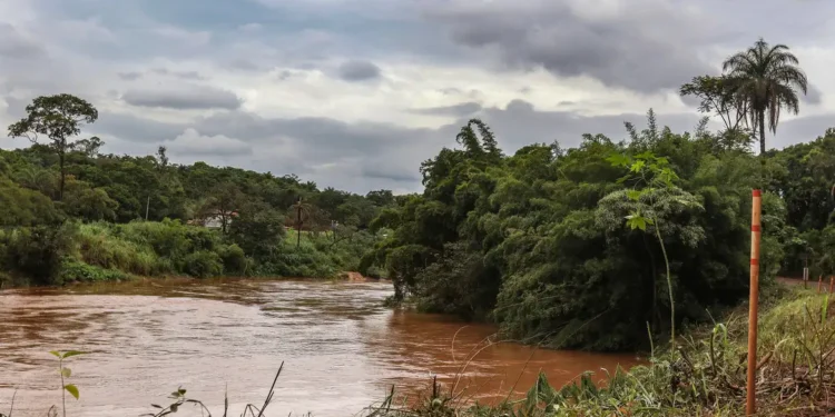 Estudo detecta presença de metais na urina de crianças em Brumadinho