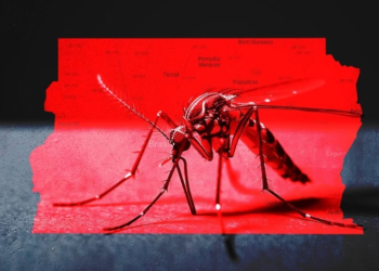 Ministério da Saúde em alerta após explosão dos casos de dengue em 2024