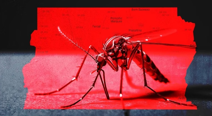 Ministério da Saúde em alerta após explosão dos casos de dengue em 2024