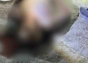 Motorista de aplicativo é morto na comunidade Monte Sião