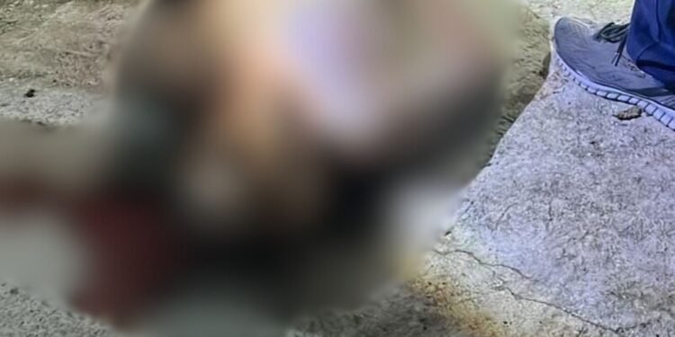 Motorista de aplicativo é morto na comunidade Monte Sião