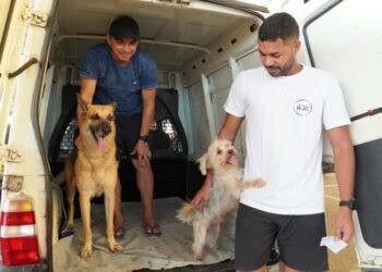 Manaus tem novo ponto de vacinação antirrábica na zona Norte