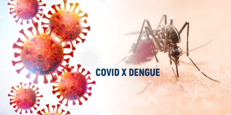 Casos de dengue e Covid-19 no Amazonas (Foto: Reprodução/Internet)