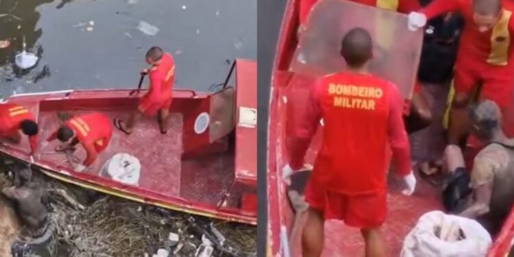 Homem é resgatado após cair de ponte no Educandos, zona Sul de Manaus (Fotos: Reprodução/ redes sociais)