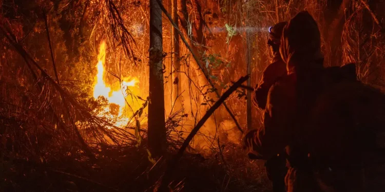 brigadistas_combate_fogo_para