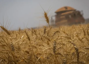 Conab define banca para novo concurso público