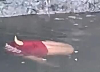 Corpo é encontrado em igarapé na Vila Amazonas, zona Centro-Sul de Manaus