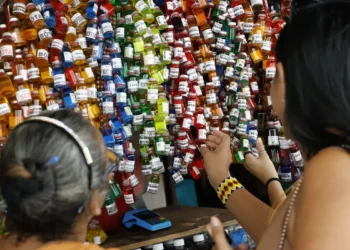 Empresários da Amazônia buscam protagonismo na COP30