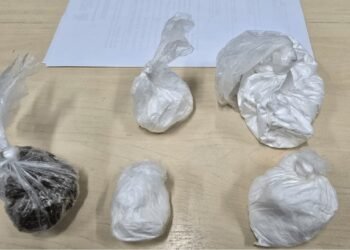 drogas-apreendidas