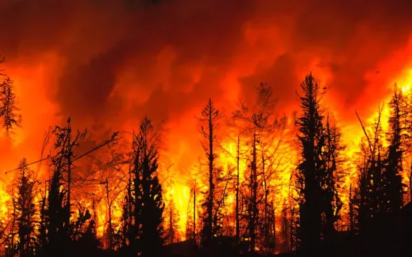 fogo-alastrando-se-por-area-florestal-eua