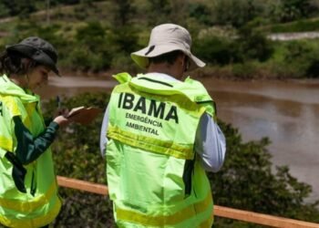 Ibama abre inscrições para concurso com 460 vagas com salários de R$ 9,9 mil