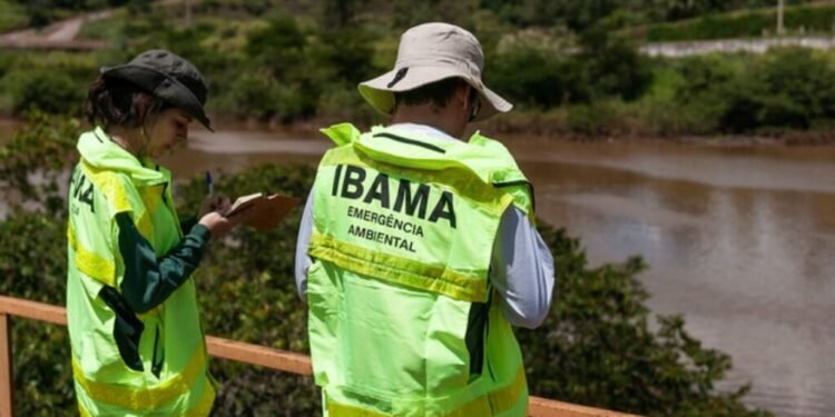 Ibama abre inscrições para concurso com 460 vagas com salários de R$ 9,9 mil