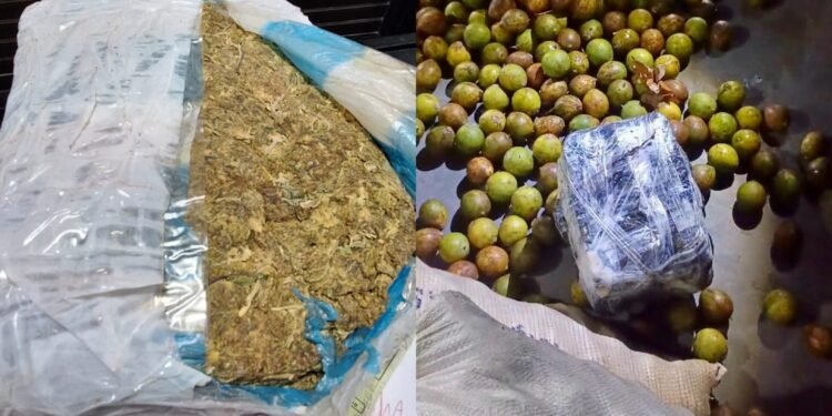 Seis tabletes de maconha são apreendidas em sacas de tucumã no Amazonas