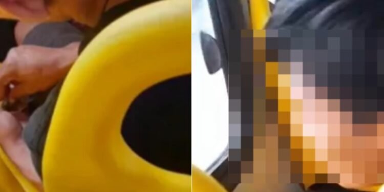 Homem é flagrado durante viagem de ônibus enrolando cigarro de droga (Fotos: Reprodução/ internet)