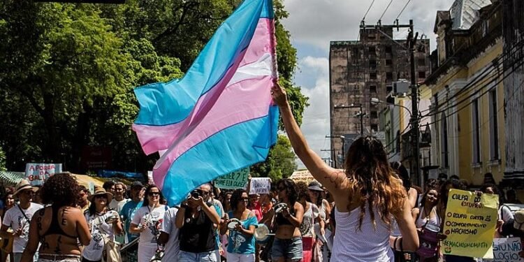 Conquista e resistência: a importância do Dia Nacional da Visibilidade Trans