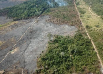 Desmatamento na Amazônia