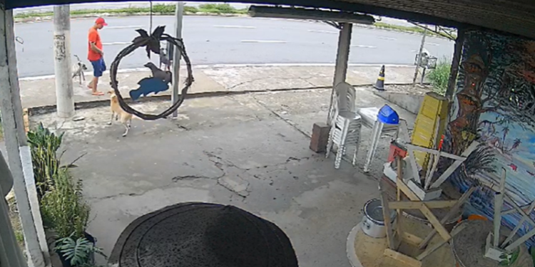 Funcionárias de restaurante são assaltadas no bairro Tarumã