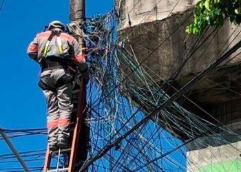 Gatos-de-energia-eletrica