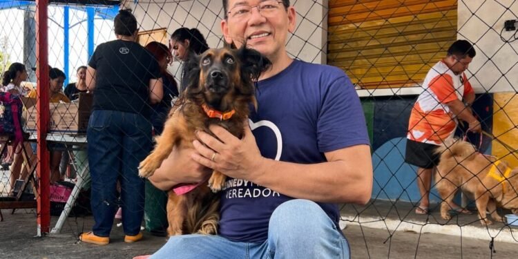 Projeto de Lei quer obrigar instalação de telas de proteção para animais em apartamentos