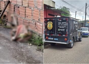 Ossada humana é encontrada em saco de cebola, no Novo Aleixo