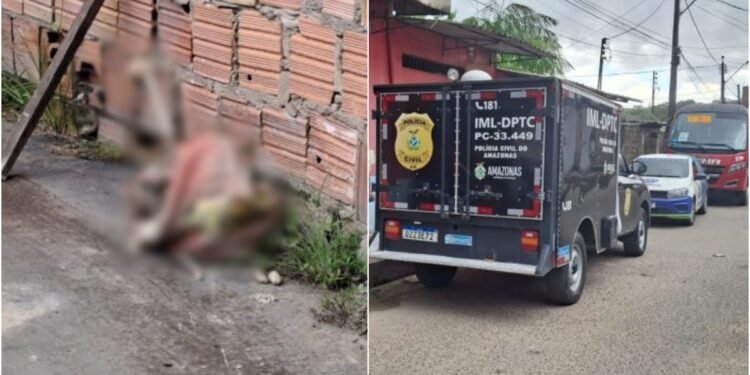 Ossada humana é encontrada em saco de cebola, no Novo Aleixo