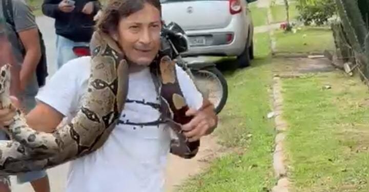 Vídeo homem captura cobra com as próprias mãos