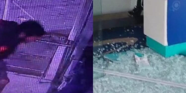 Vídeo homem invade drogaria e leva chocolates no bairro Aleixo