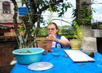 Manaus registra 255 casos confirmados de dengue em 2025