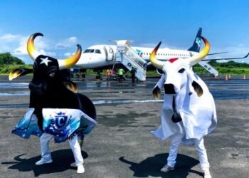 Passagens já estãos sendo vendidas para Parintins (Foto: Divulgação)