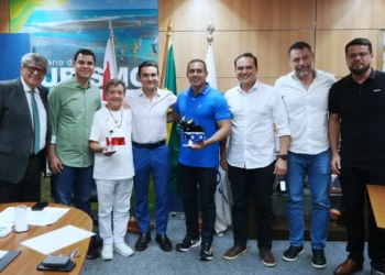 Representantes dos bumbás participam de reunião em Brasília (Foto: Divulgação/Saulo Viana)