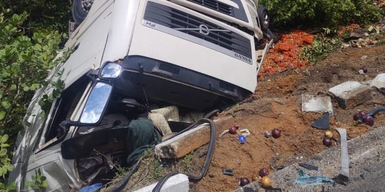 Vídeo: Caminhão com cebolas tomba na BR-174