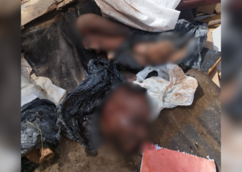 corpo-esquartejado-manaus