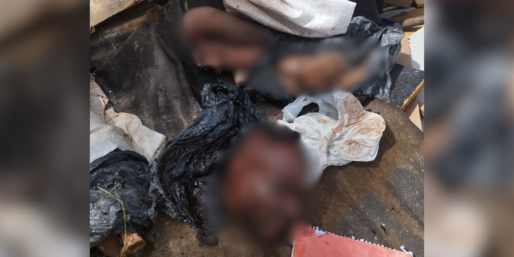 corpo-esquartejado-manaus