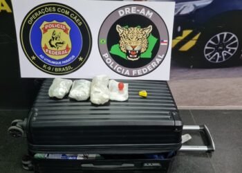 PF prende homem com drogas sintéticas no aeroporto de Manaus