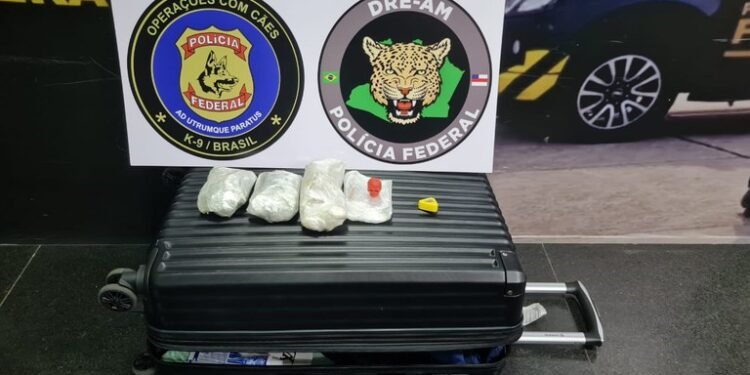 PF prende homem com drogas sintéticas no aeroporto de Manaus