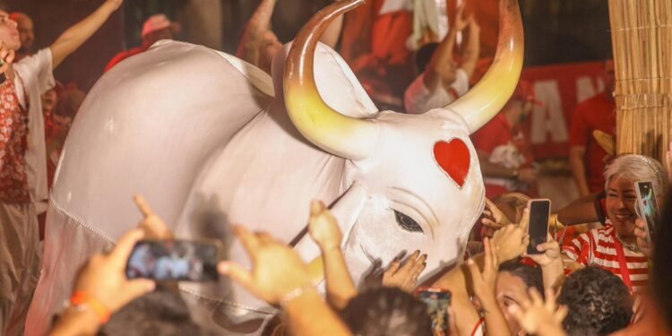 Boi Garantido inicia temporada bovina e apoia a revitalização do centro histórico de Manaus