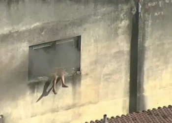 incendio-rj-imperio-serrano