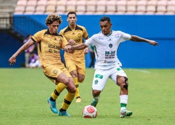 manaus-amazonas-barezao