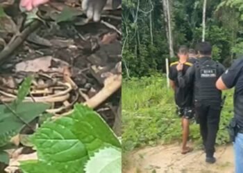 ossada jovem encontrado