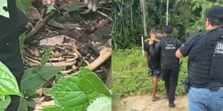 ossada jovem encontrado