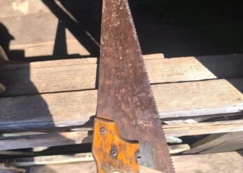 serrote-preso-companheira-beruri