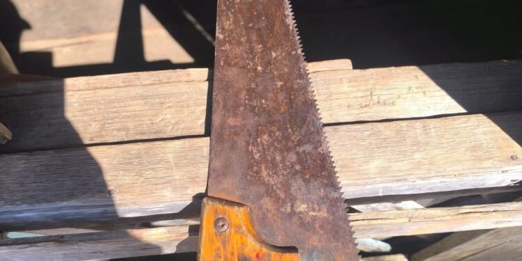 serrote-preso-companheira-beruri