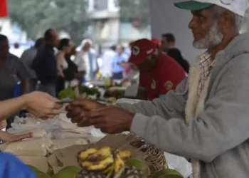 Programa Desenrola Rural entra em vigor nesta segunda-feira, 24