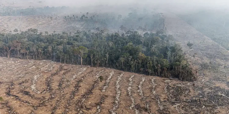 Fundo da Amazônia terá contribuição de R$ 91 milhões da Irlanda