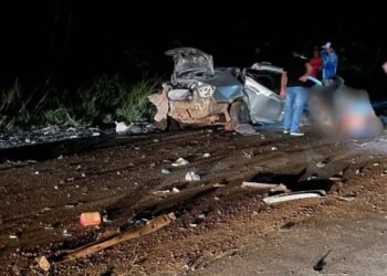 Acidente deixa cinco mortos e um ferido na BR-319 - Foto: (Reprodução/Internet)